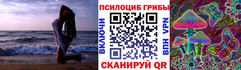 Псилоцибиновые грибы мухоморы купить наркотики цена Каменск-Шахтинский
