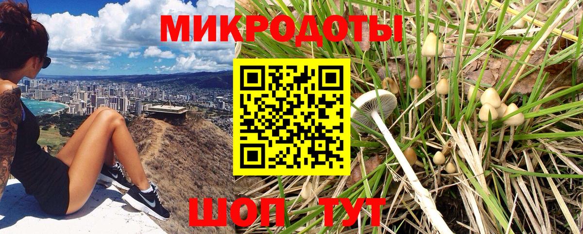 Галлюциногенные грибы ЛСД  Вход с VPN  Каменск-Шахтинский  Галлюциногенные грибы прущие грибы 