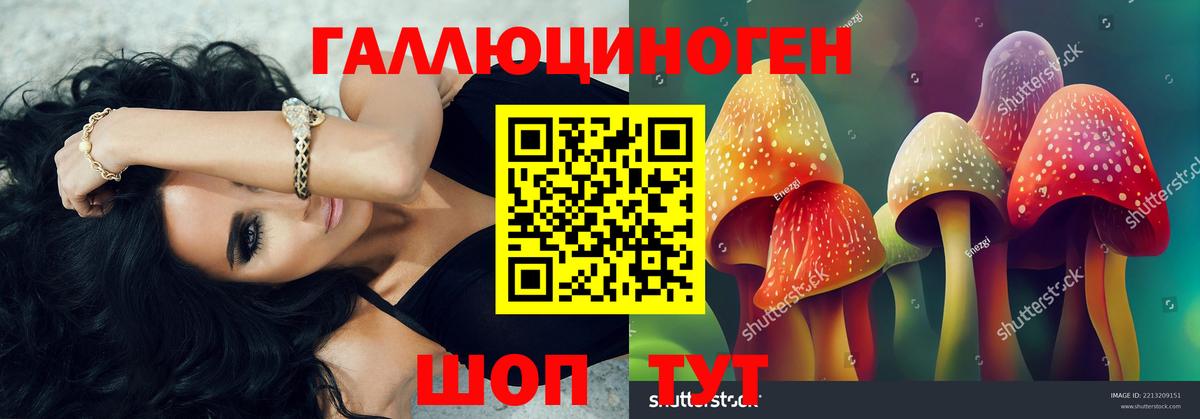 Псилоцибиновые грибы ЛСД Каменск-Шахтинский